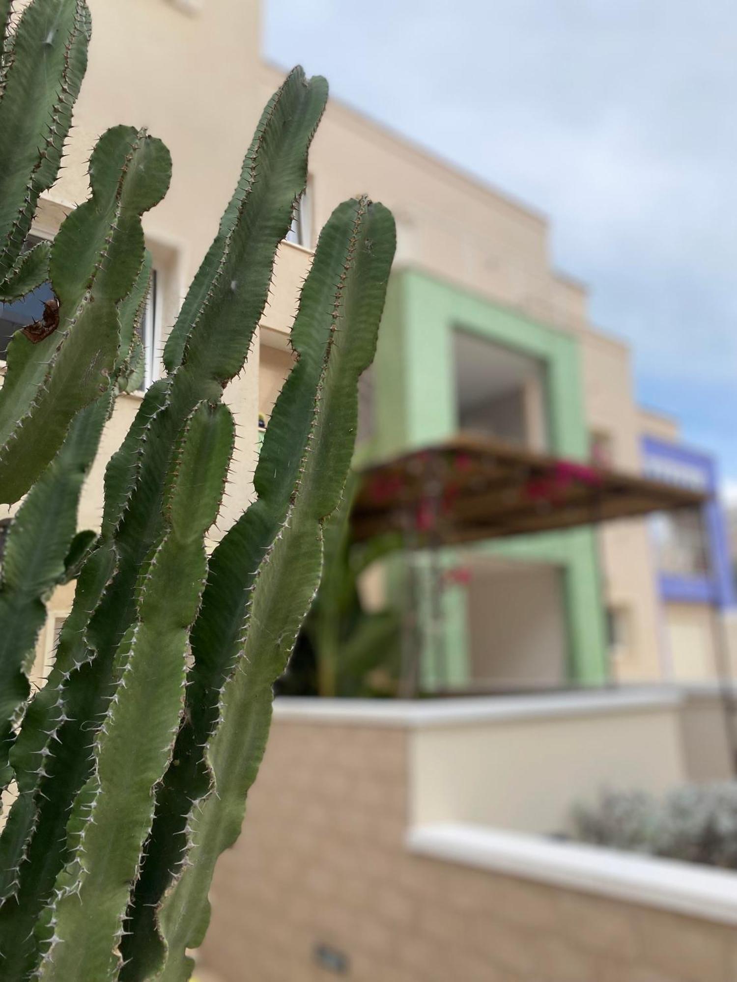 Bolina Luxury Suites Gallipoli Eksteriør bilde
